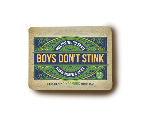 Boys Don't Stink