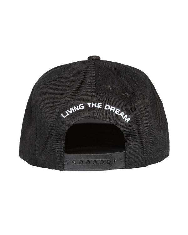 TeamLTD Curved Snapback