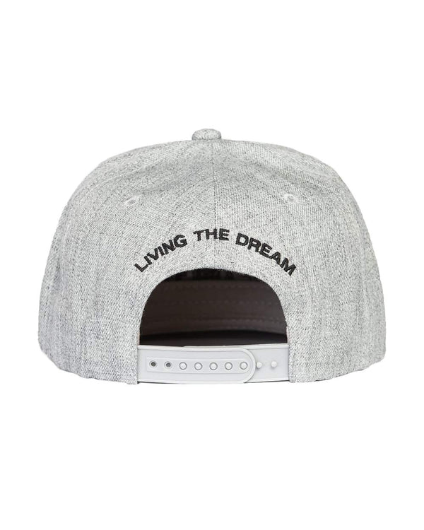 TEAMLTD Grey Classic Snapback